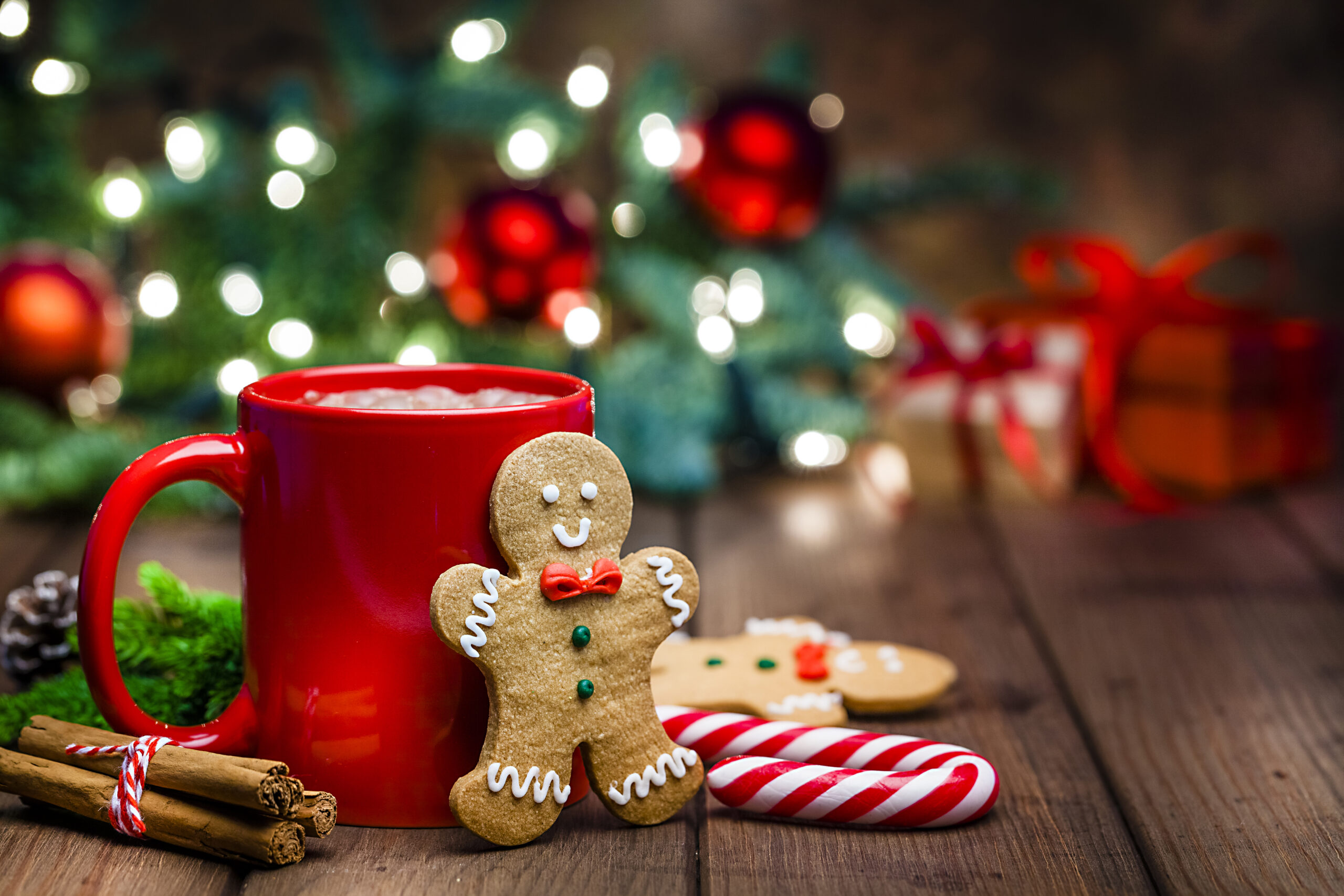 Christmas backgrounds: gingerbread cookies and hot chocolate shot on rustic wooden table. The composition is at the left of an horizontal frame leaving useful copy space for text and/or logo at the right. Christmas tree and string lights are out of focus at background.  Predominant colors are red, green and brown.