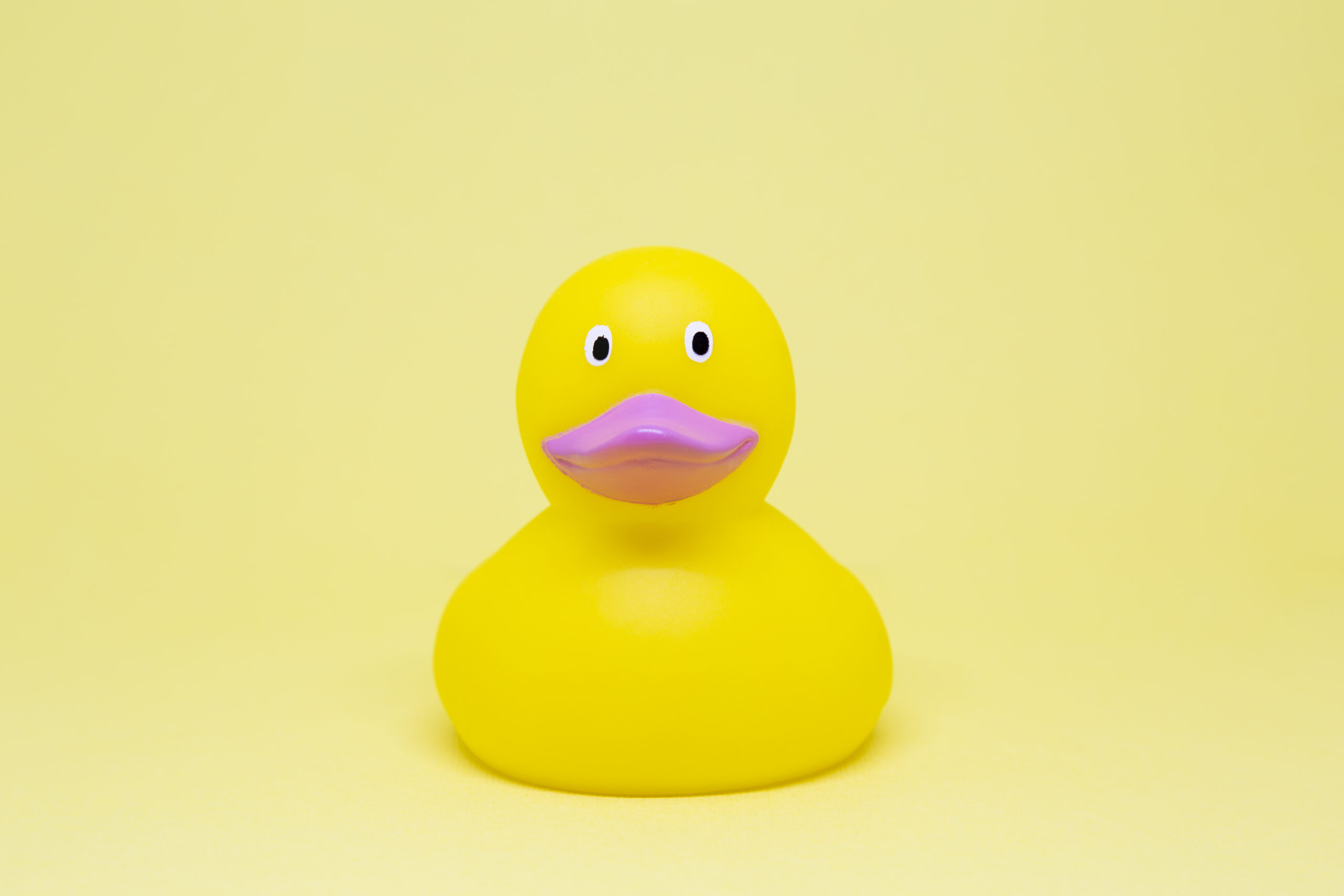 A cute yellow rubber duck with a yellow background.